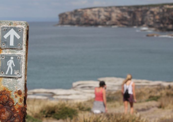 This Way Walking Track Sign in the Royal National Park, Bundeena