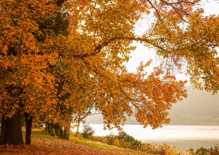 Vibrant autumn colours on display on the Hawkesbury River, Wisemans Ferry
