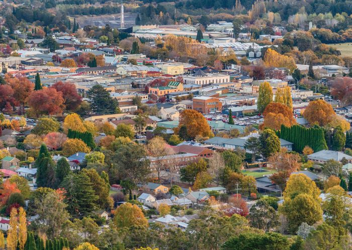 Autumn colours in the town of Bowral, Southern Highlands