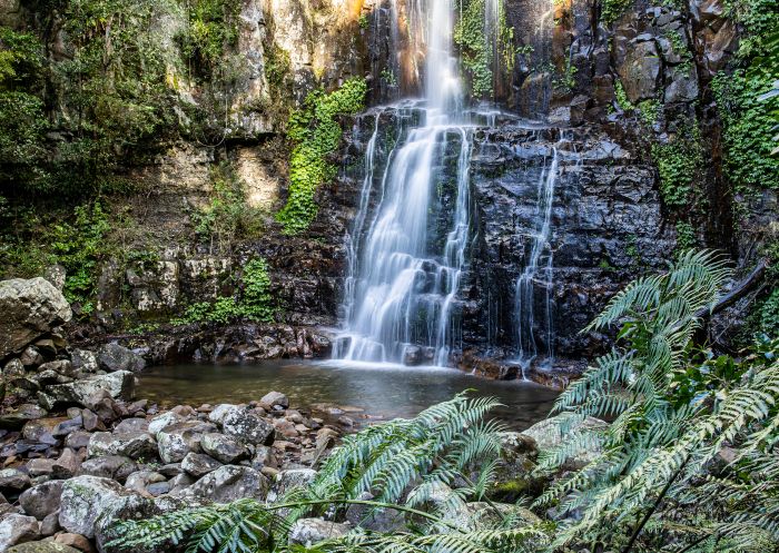 Minnamurra Rainforest Centre, Jamberoo The scenic Minnamurra Falls at Minnamurra Rainforest Centre, Jamberoo