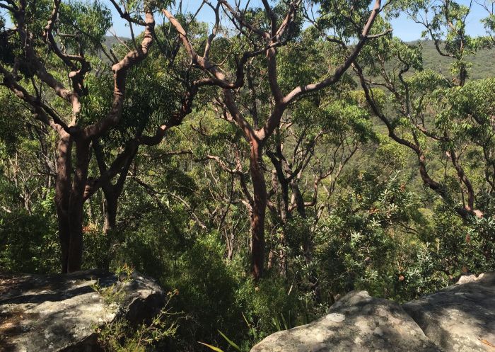 Karloo pools walking track in the Royal National Park, Heathcote