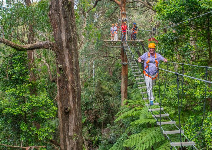 Man enjoying the scenery and action at Illawarra Fly Treetop Adventures, Knights Hill in the Illawarra region