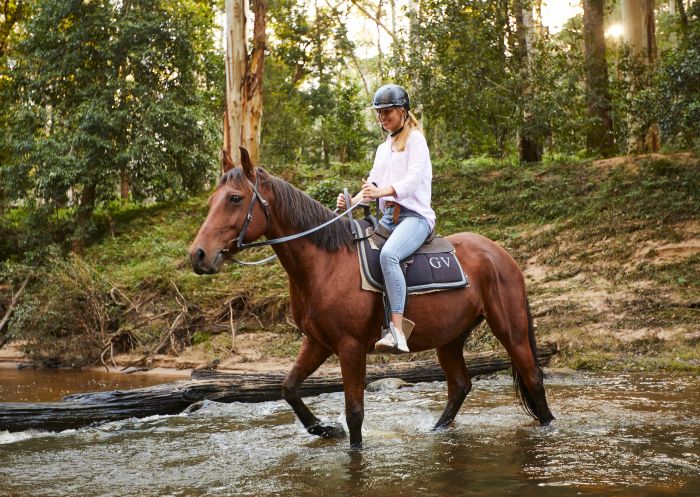 Woman enjoying a horse riding experience with Glenworth Valley Horse Riding, Glenworth Valley