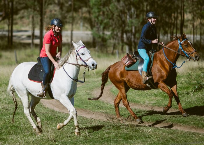 Couple riding with Chapman Valley Horse Riding, Howes Valley