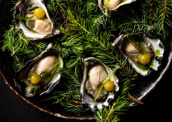 Sydney rock oysters with desert lime and seaweed at Firedoor, Surry Hills