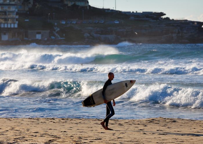 Surfer, Bondi Beach