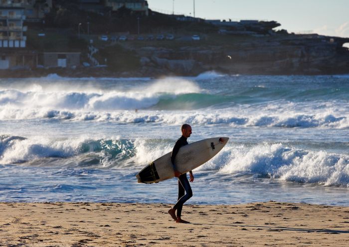 Surfer, Bondi Beach