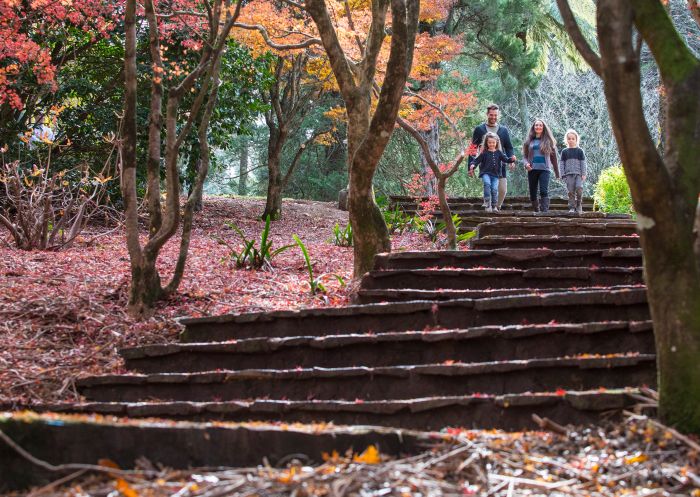 Family enjoying a visit to the Breenhold Gardens in Mount Tomah, Blue Mountains