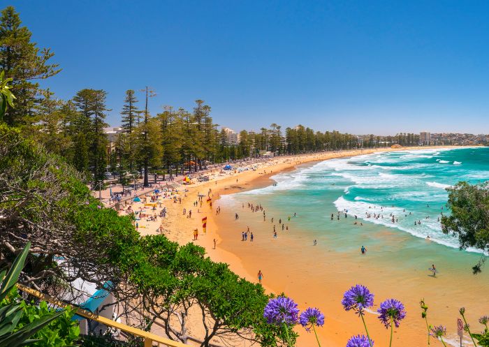 Crowds enjoying a summer's day at Manly Beach, Manly