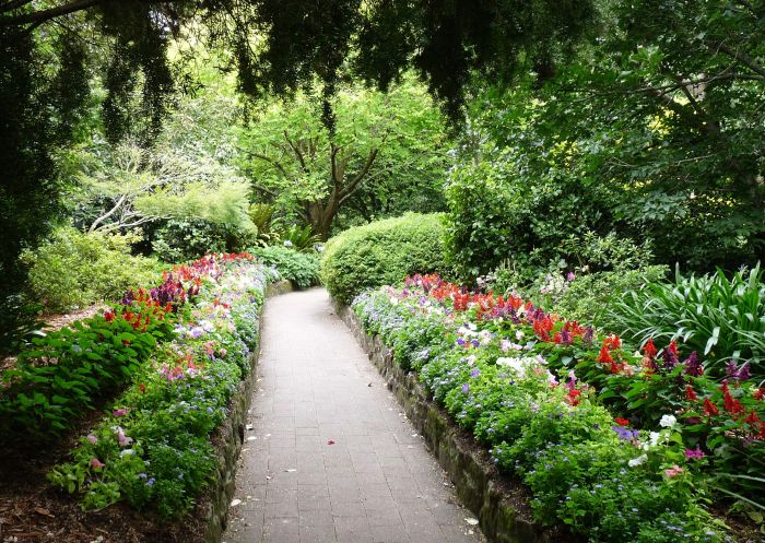Wedding Walk at EG Waterhouse National Camellia Gardens, Sutherland