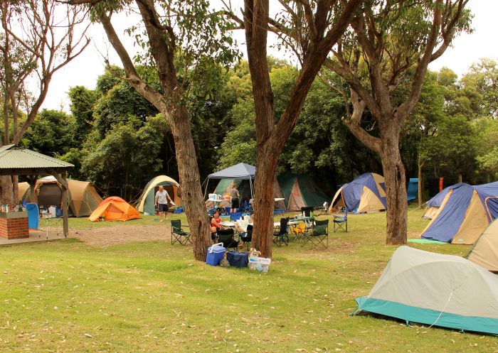 Putty Beach Campground, Killcare Heights - Credit: John Yurasek/DCCEEW Tents at the campground at Putty Beach Campground, Killcare Heights