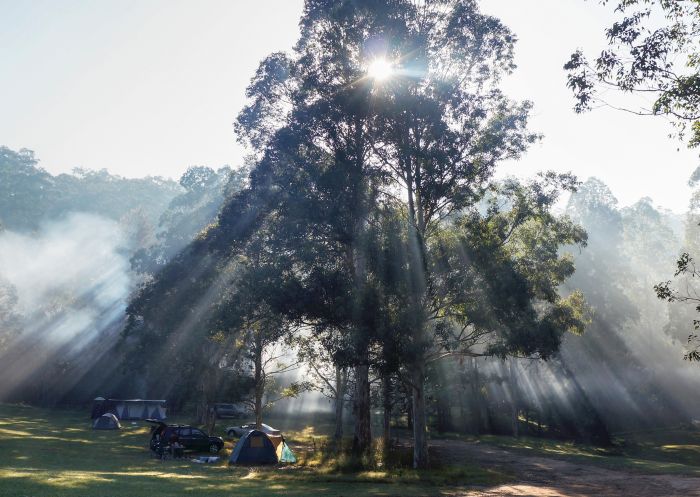 Euroka Campground, Blue Mountains National Park - Credit: Nick Cubbin/DCCEEW Euroka Campground, Blue Mountains National Park