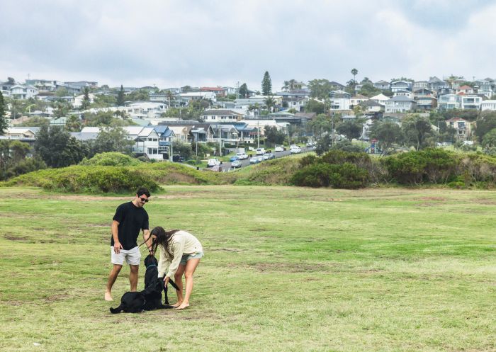 Couple playing with their dog at Flora and Ritchie Roberts Reserve, Curl Curl