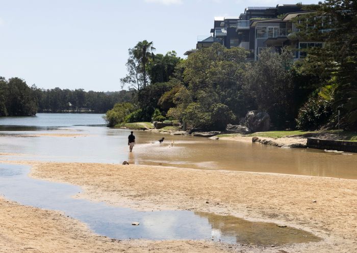 Man talking his dog for a walk at Manly Lagoon, Manly