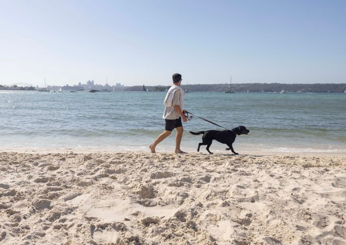 Man walking his dog along the beach at Rose Bay Dog Beach, Rose Bay