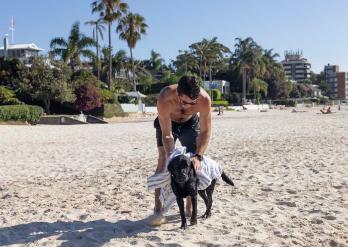 Man with his dog after a swim at Rose Bay Dog Beach, Rose Bay