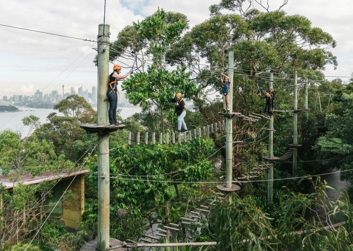 Wild Ropes at Taronga Zoo Sydney, Mosman, Lower North Shore - Credit: Pat Suraseang 