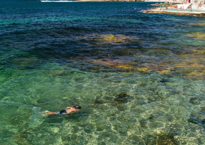 Shelly Beach, Manly Man snorkelling in Shelly Beach at Manly