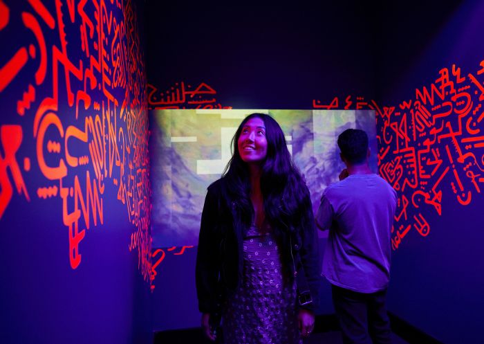 バンクスタウンのバンクスタウンアート センターで、アーティスト Alia Ali @studio.alia.ali によるアート作品「The Red Star, 2020/2024」を鑑賞