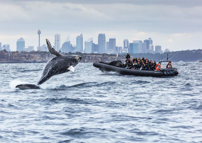Ocean Extreme, The Rocks - Credit: Ocean Extreme