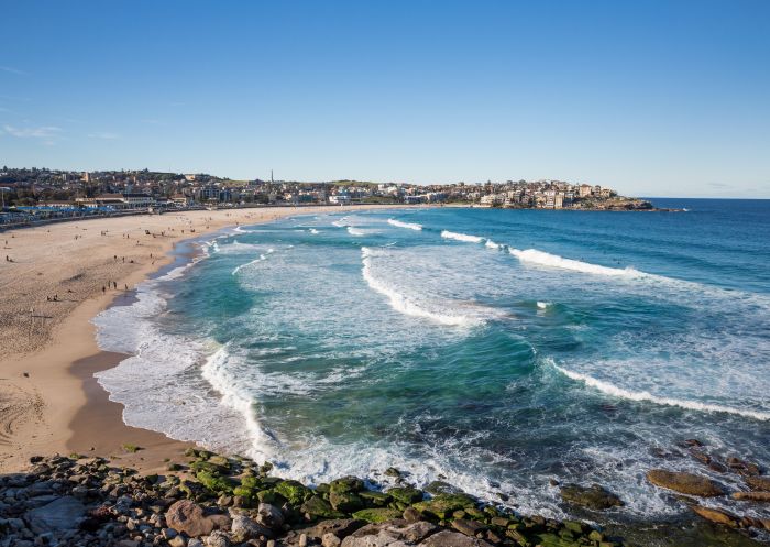 Surfing at Bondi Beach