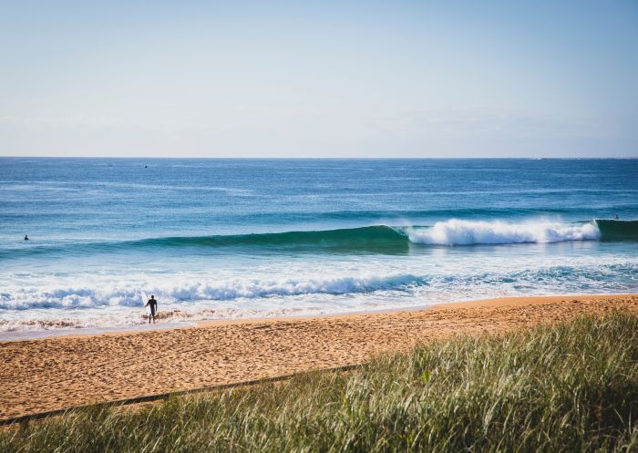 Surfer's arriving early to catch a wave at North Narrabeen Beach, North Narrabeen