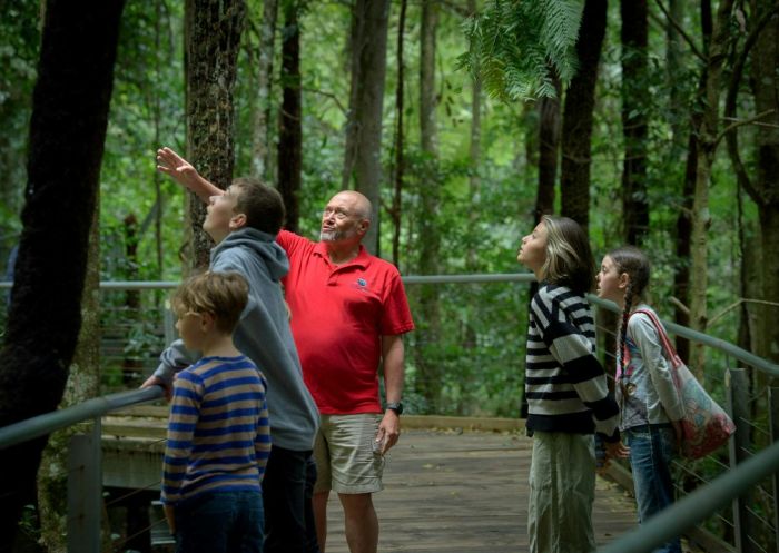 Buunyal Tour at Scenic World - Credit: Scenic World