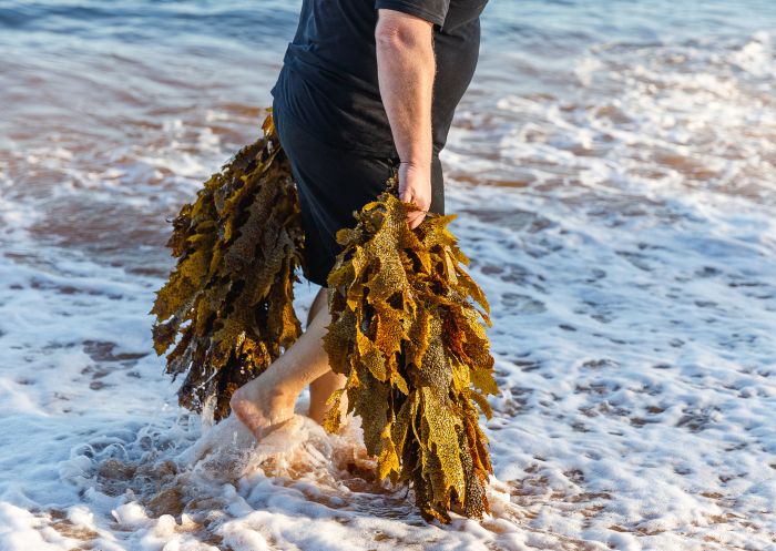Foraging at Dawn or Dusk tour by Seadrift Distillery - Credit: Seadrift Distillery