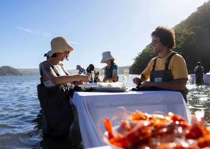 Sydney Oyster Farm Tours