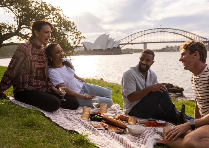 Mystery picnic with Amazing Co