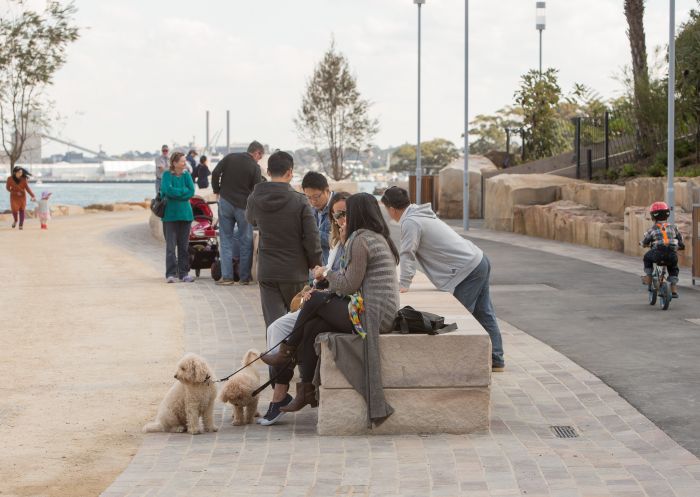 巴蘭加魯 (Barangaroo）保護區，巴蘭加魯 (Barangaroo）的狗狗與主人 - 圖片來源：新南威爾士州基礎設施建設
