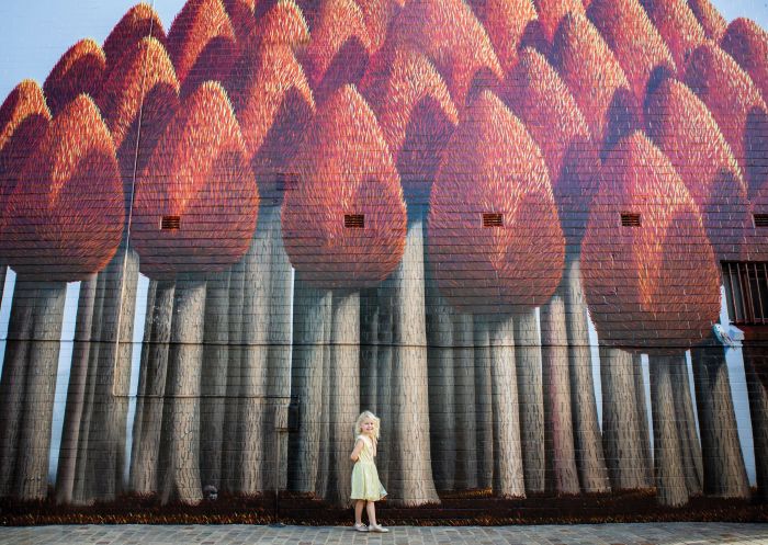 The New One mural, Maitland - Credit: Lee Nichols | Maitland City Council Young girl standing in front of the Patricia Van Lubeck, The New One mural, Maitland - Credit: Lee Nichols | Maitland City Council