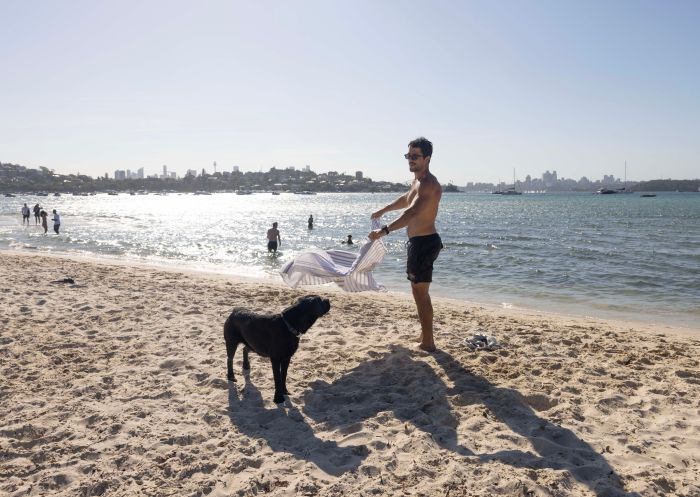 Man enjoying a day at the beach with his dog, Rose Bay Dog Beach, Rose Bay