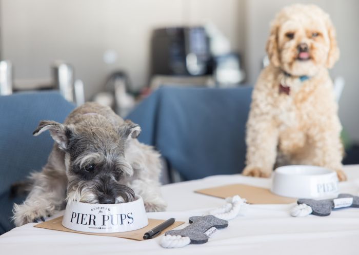 Pier One Pup Party - Pups On The Pier - Pier One Sydney Harbour - Sydney