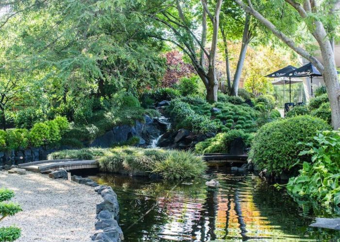 Japanese Garden and Art Cafe, Art Cafe, Campbelltown - Credit: Art Cafe