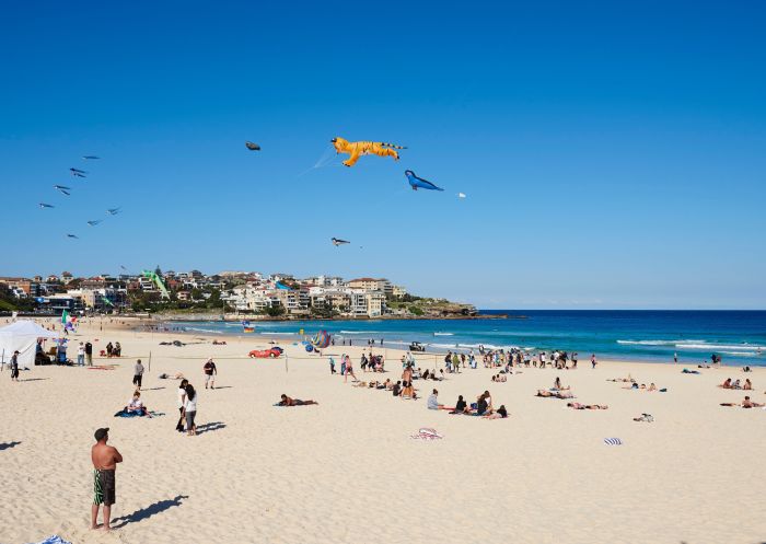 Festival of the Winds, Bondi Beach