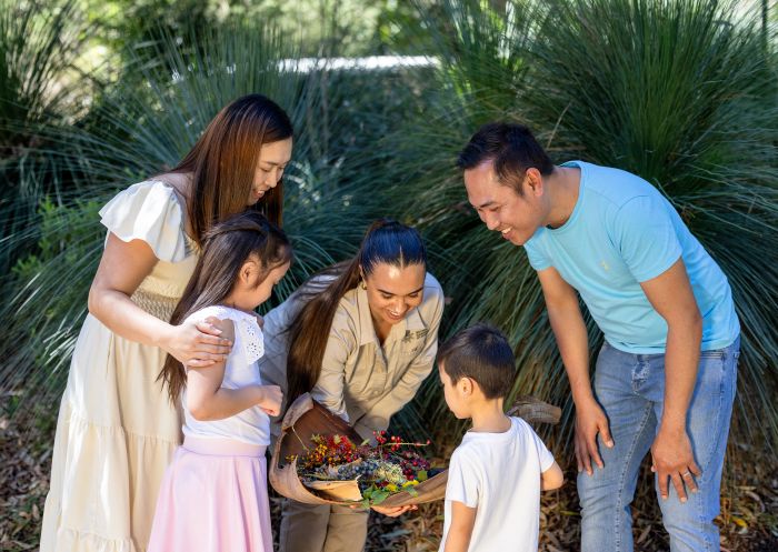 シドニー王立植物園のガイド付きツアーでガディガル族の豊かなアボリジニの文化を学ぶゲスト