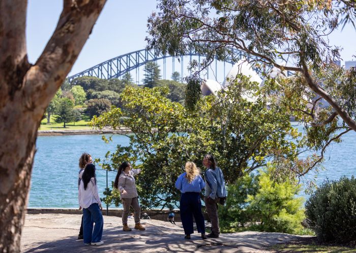 Guests on a tour around the gardens with an Aboriginal guide, Royal Botanic Garden tour, Sydney - Credit: Royal Botanic Garden