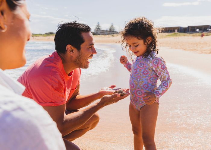 Family enjoying a day, Mona Vale Rockpool, Mona Vale