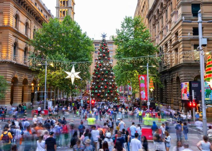 Sydney Christmas Opening Weekend - Credit: Abril Felman | City of Sydney