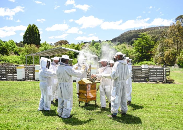 Friends learning bee keeping training, Bowral Honey Farm, Bowral