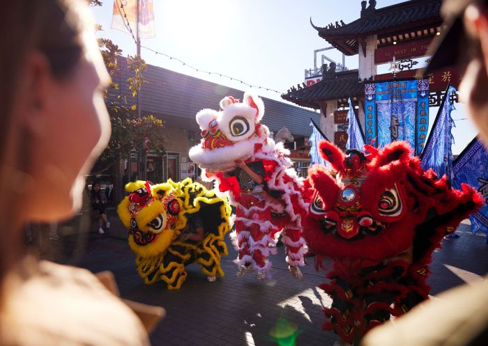 Friends watching, Chinese dragon dance performance, Cabramatta