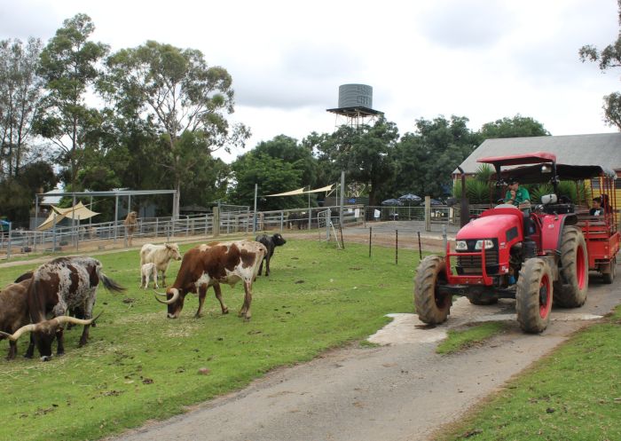 Tractor with farm animals, Calmsley Hill City Farm, Abbotsbury - Credit:  Calmsley Hill City Farm