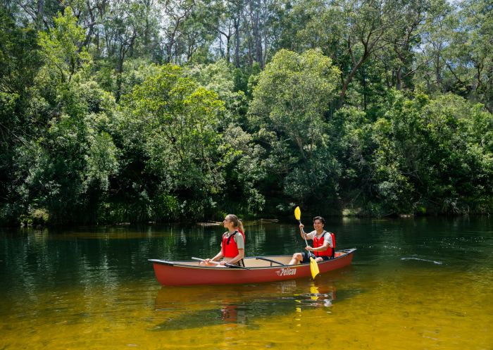 Two people kayaking on a river, Georges River Nature Reserve, Kentlyn - Credit: Georges River Nature Reserve