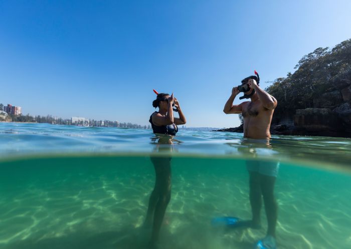A couple enjoys snorkelling at Shelly Beach, Manly