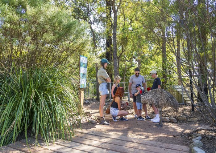 Family feeding emu, Australian Wildlife Sanctuary, Bargo - Credit: Sharp Shots | Wollondilly Shire Council