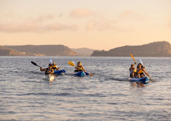 Friends kayaking at sunrise, Pittwater Kayak Tours, Palm Beach