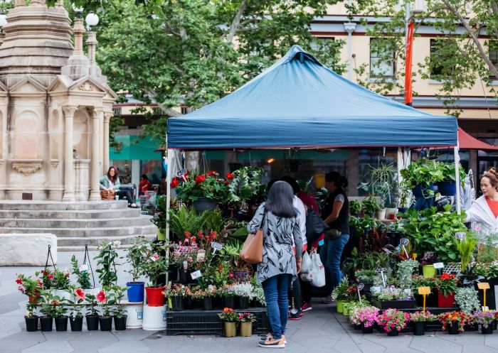Florist stall at the Farmers Market, Parramatta Farmers Market, Parramatta