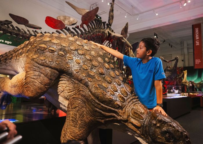 Boy with dinosaur, Australian Museum, Sydney
