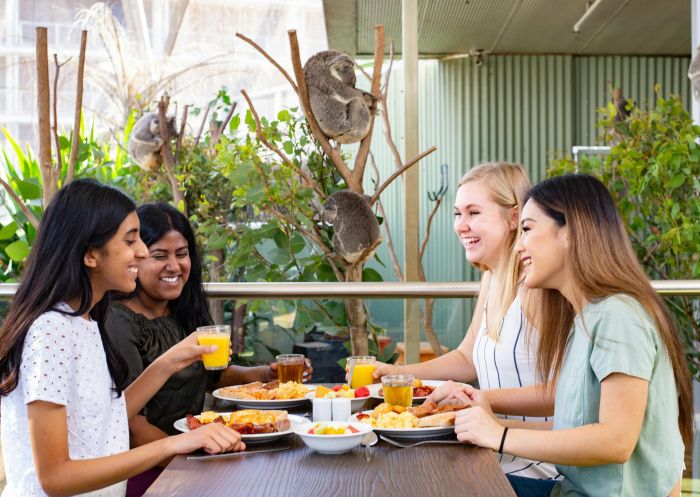 Breakfast with the Koalas, WILD LIFE Sydney Zoo, Darling Harbour - Credit: Merlin Entertainments Group
